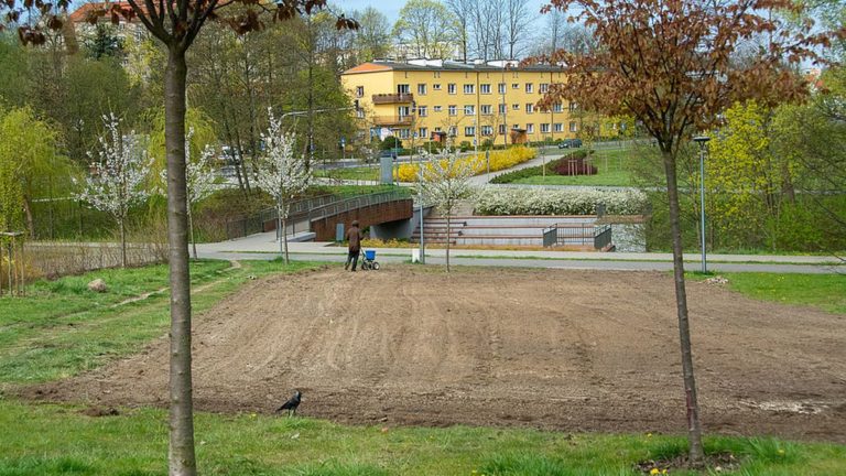 Sposoby na suszę: ograniczenie koszenia, łąki, zbiorniki retencyjne