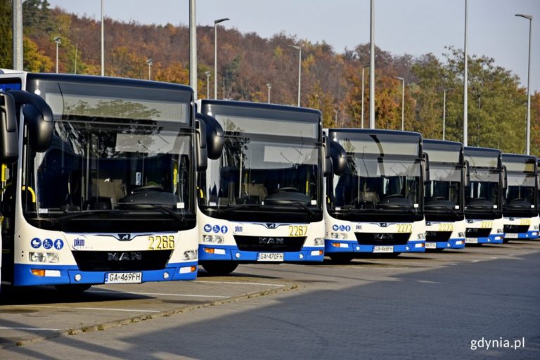 Jedź na plażę autobusem!