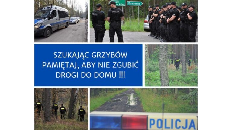 Policja apeluje. Szukając grzybów, nie zgub drogi do domu