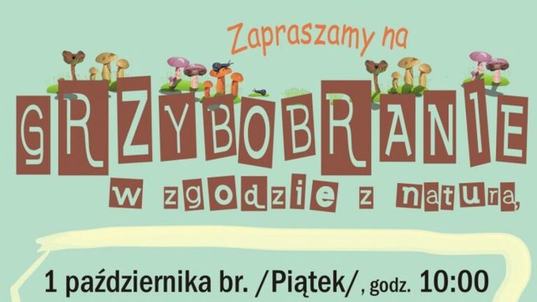 Grzybobranie w zgodzie z naturą