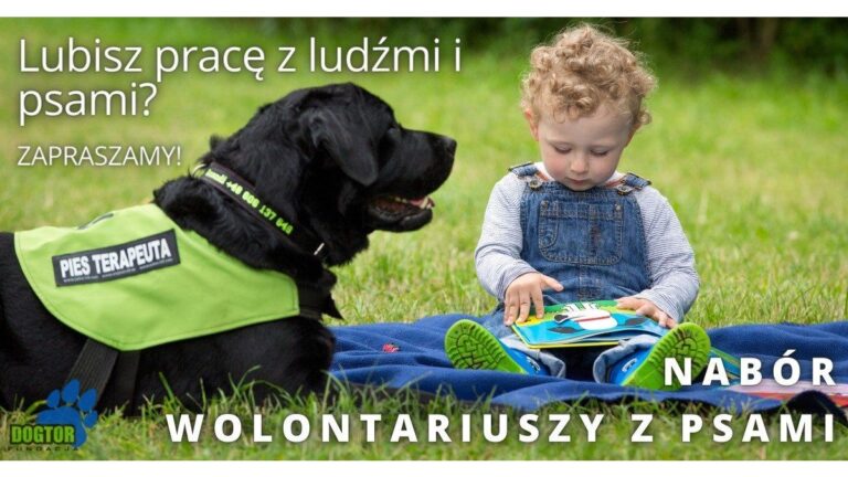 Podziel się dobrem. Fundacja Dogtor poszukuje wolontariuszy