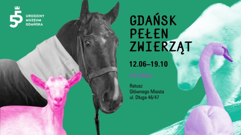 Gdańsk pełen zwierząt. Nowa wystawa w&nbsp;Ratuszu Głównego Miasta