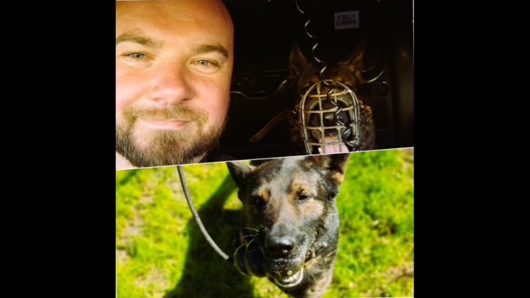 Elbląg: Włamał się do&nbsp;trafostacji – zatrzymany przez&nbsp;policjanta z&nbsp;psem służbowym