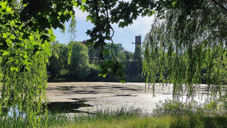 Jezioro Długie ponownie oczyszczane