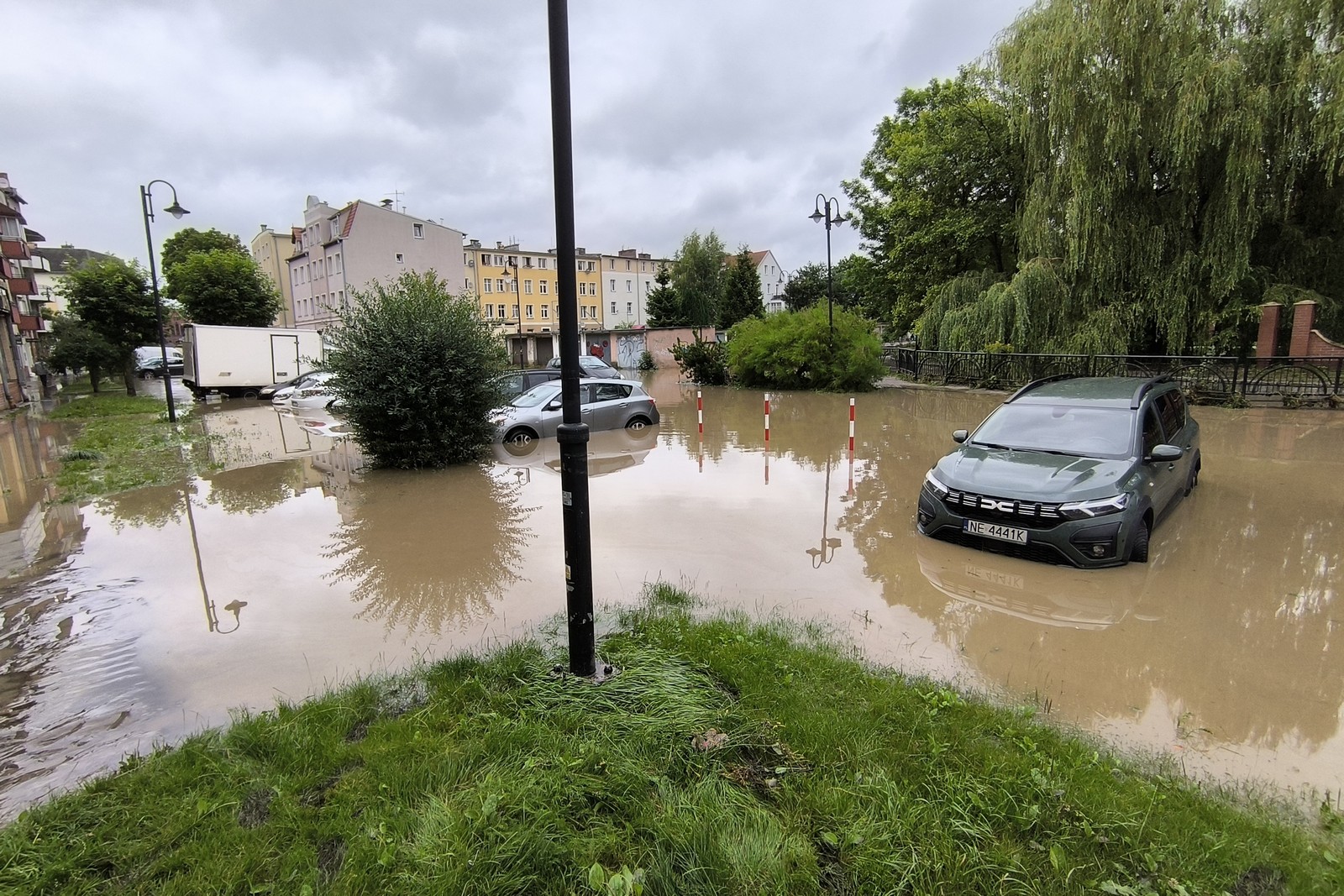 Prognozy były dobre, ale „Kumiela” znów pokazała, dlaczego nazywana jest „Dzikuską”