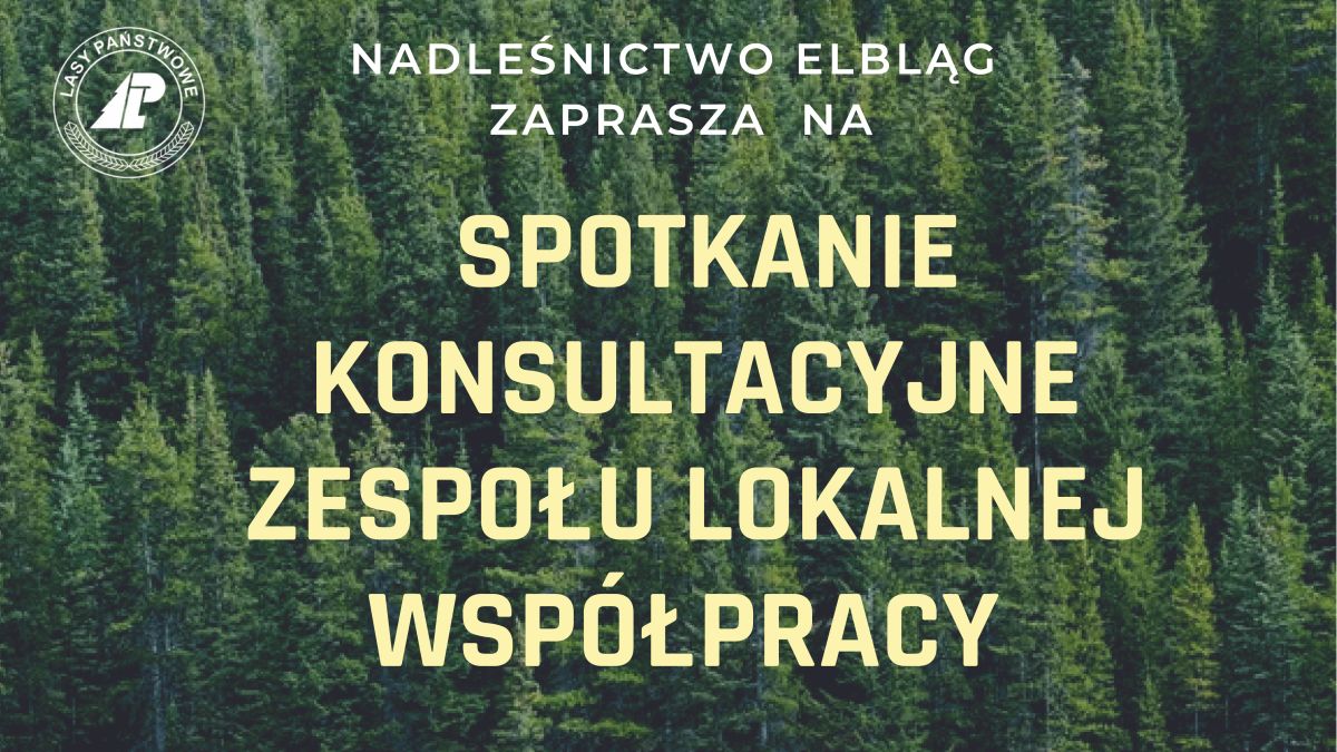 Spotkanie Zespołu Lokalnej Współpracy