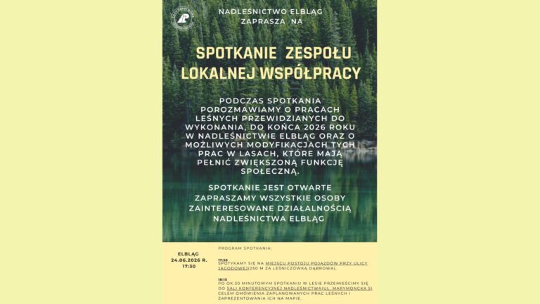 Spotkanie Zespołu Lokalnej Współpracy
