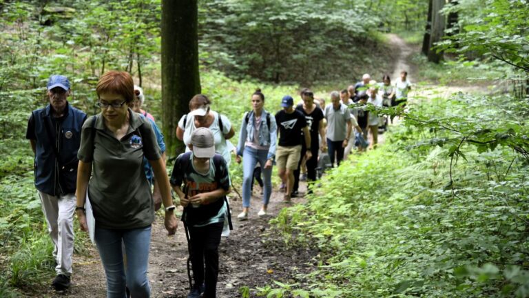 Zapraszamy na&nbsp;Spacer „Tajemnice Bażantarni”